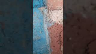 chiti na Incan ka mara jan