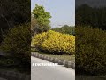 m tag for bikes in islamabad