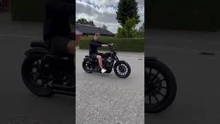 Harley Davidson iron 1200 sportster
