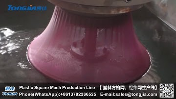 Plastic Square Mesh or Mosquito Mesh Production Line