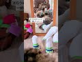 おそろいくつした🎶🎶 #cat #猫 #サイベリアン #ヤマネコ