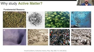 Emergence in the interaction of active and passive particles | Prof. Giorgio Volpe | #ucl #iiserpune