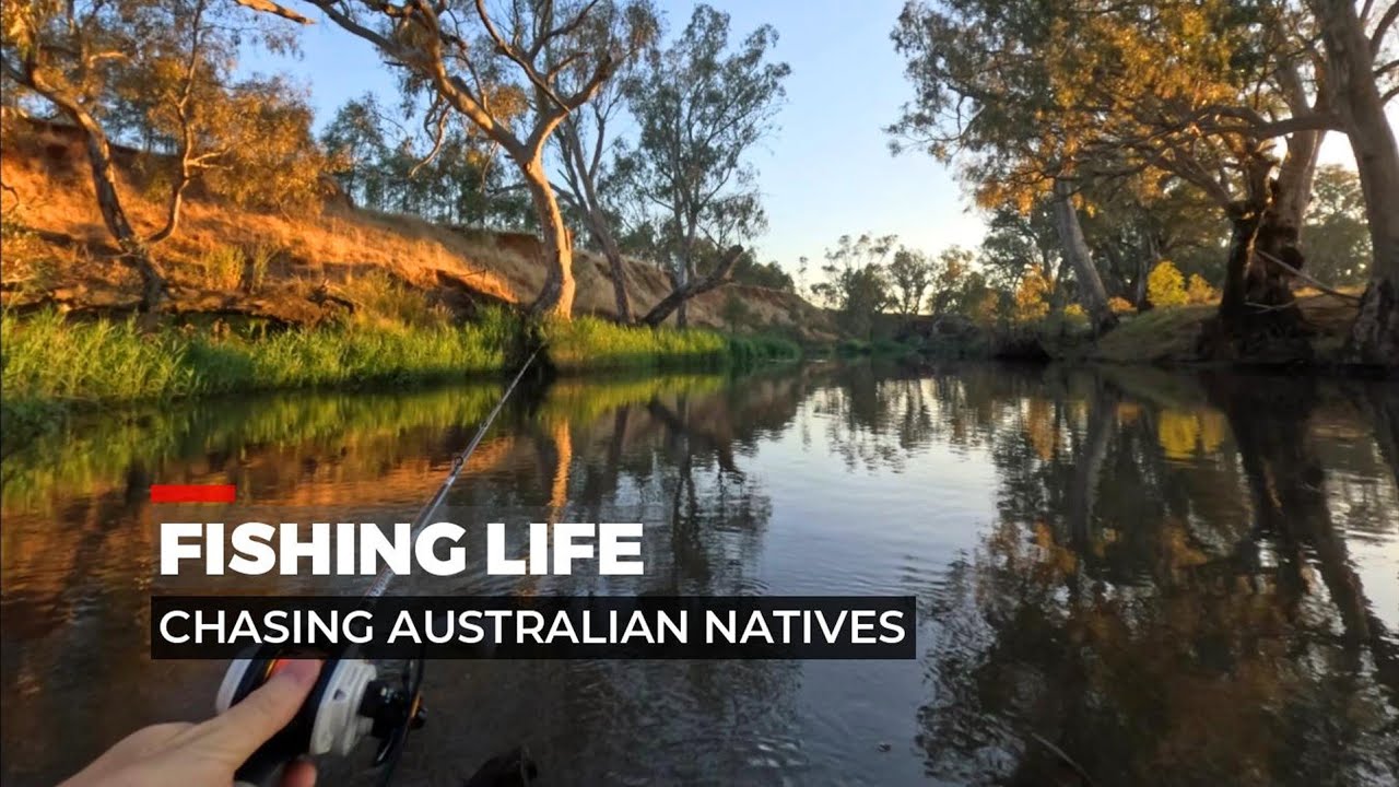 Fishing Life: Chasing Australian Natives
