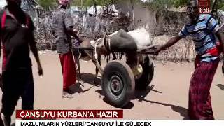 Cansuyu Kurbana Hazir