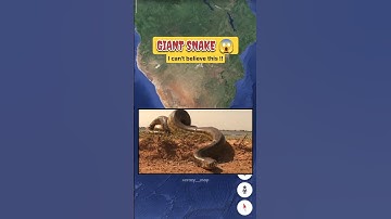 Found Giant snake on google earth 😱😱 #googlemaps #googleearth #googlestreetview #googlearth