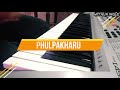 Phulpakharu Title Song | फुलपाखरु | Instrumental Cover Mp3 Song