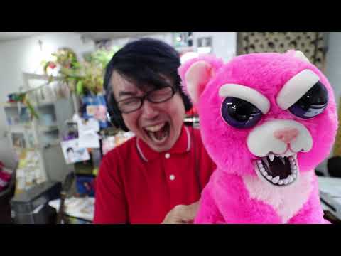 【ASMR】Angry Cat and Ted on your face【音フェチ】君の顔にアングリーキャットとテッド