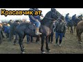 Куршаб жылкы базары 🐎! Красавчик ат чыкты өтө сонун 🤩🤓🥳06.03.2021