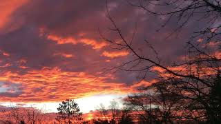 Coffee Break (5 Minutes with God)  Psalm 102:10-13