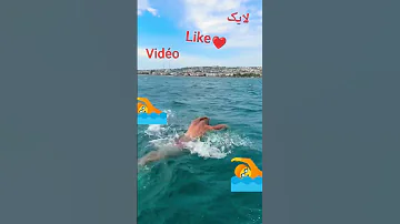 المغرب الجزائر Plongée Diving Like Sabscribe الغوص البحر لايك اشتراك سابسکرایب 