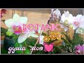 🌸Орхидейный вояж в мой любимый Ботаник 🌿