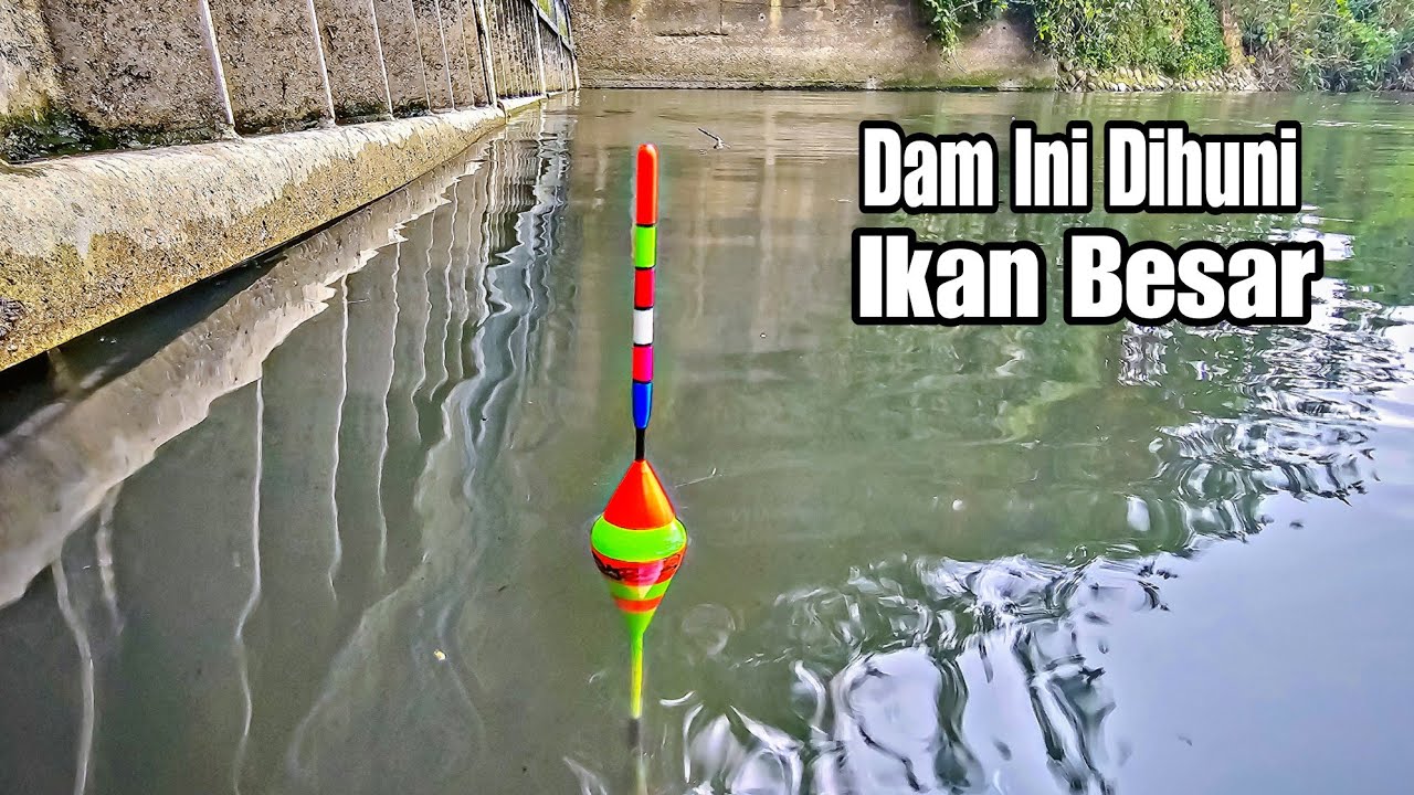 MENAKJUBKAN.!! MANCING DI DAM PINGGIR JALAN || IKANYA PADA KELIHATAN