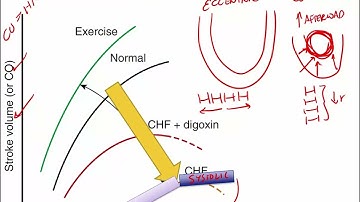 Starling Curve CVS physiology video part 4 from USMLE First Aid Step one