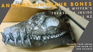 🦕 NEW ZEALAND'S PREHISTORIC PAST | GNS Fossil Collection 🌏