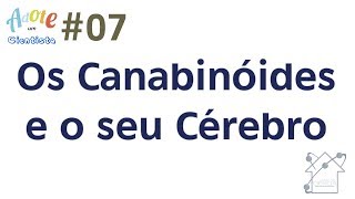 Anandamida: conheça a cannabis do cerebro e como ela atua