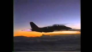 F-14 tomcat tribute