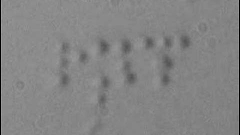 Manipulation of cells on microchip