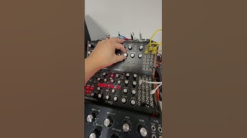 Tweaking a knob on the Moog DFAM. Drums from Behringer R9 Bass from Ableton #semimodular  #synthjam
