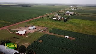 Finca Liviney: Cómo producen los Menonitas tecnificados en Colombia (#1044 2023-08-12)