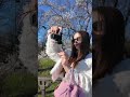 Весна в Милане 🌸🩷 #жизньвиталии #италия #милан