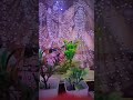 Live highlight