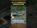 【モンハン】レア装備のためにひたすら自滅するゲーム