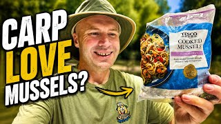 Are Mussels REALLY a Good Carp Hookbait… Or Just Hype?