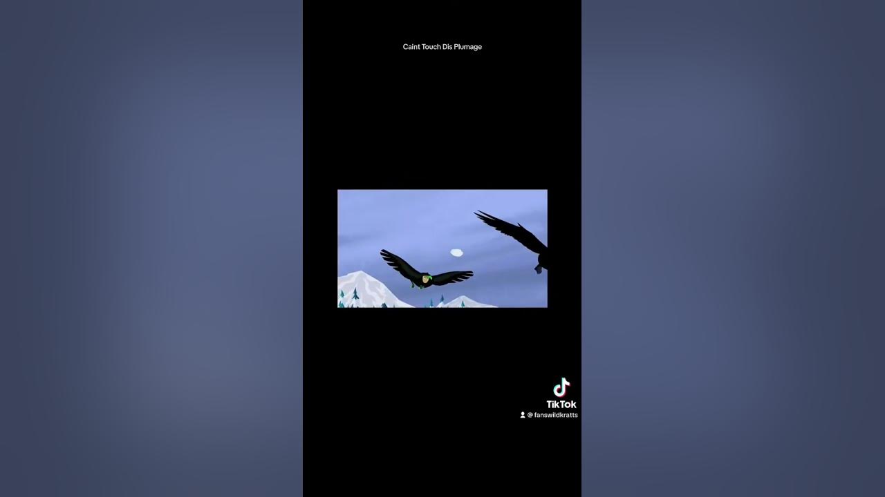 Wild Kratts Clever The Raven - The Unstoppable Raven - YouTube