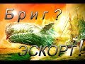 Black Desert online.Бриг или Эскорт?Чем отличаются и что выбрать?