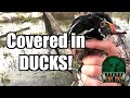EPIC Wood Duck Hunt | 45 Minute Limit!!!