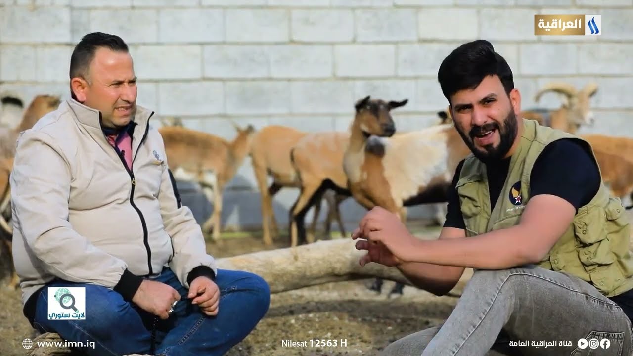 محمية الغزلان والماعز - كركوك لبرنامج لايت ستوري المغامر حيدر البيضاني