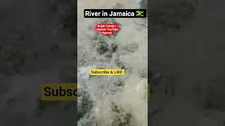 Having A River Bath In Rural Jamaica .