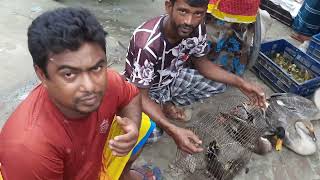 মুন্সীগঞ্জের ঐতিহ্যবাহী গোয়ালিমান্দ্রা হাট