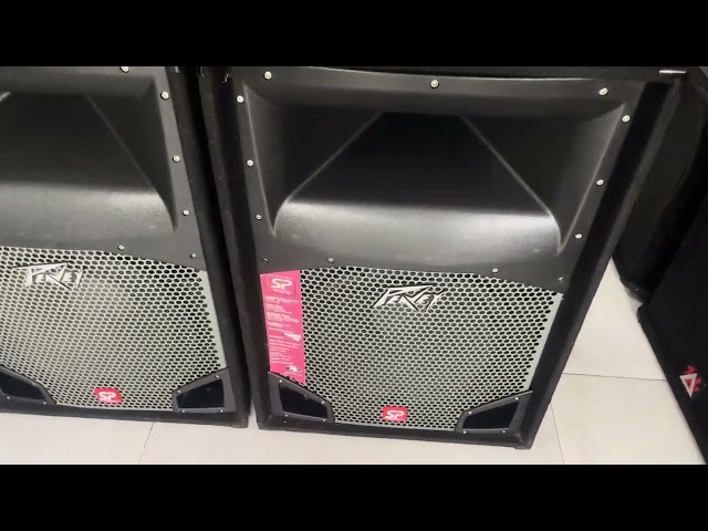 LOA MỸ PEAVEY SP2 fun 40 từ 22.côn 100 giá hợp lý mời các bác xuống tiền!