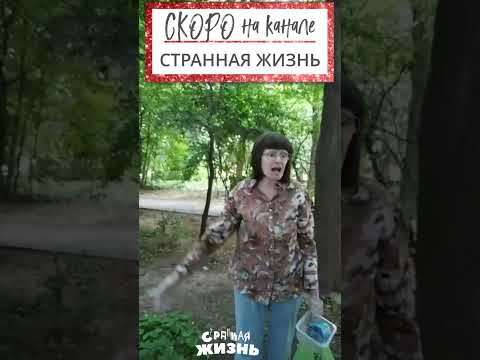 Соседи в шоке: кошатница устроила ЗООприют во дворе!