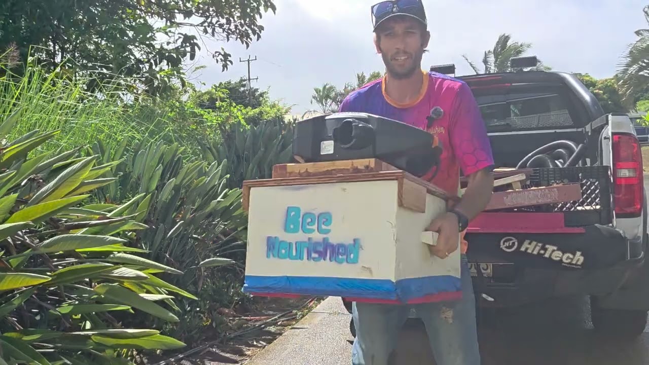 Beehind the scenes: New Bee Relocation job! 