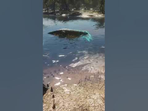 The Hunter Call Of The Wild: Saltwater Crocodile Bow Hunt - YouTube
