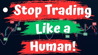 Celebrity The 2026 Algorithm Secret: Why 99% of Traders are Failing! Net Worth