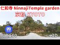 VR180  京都観光 仁和寺 02 日本庭園 Japan KYOTO Ninnaji Japanese garden