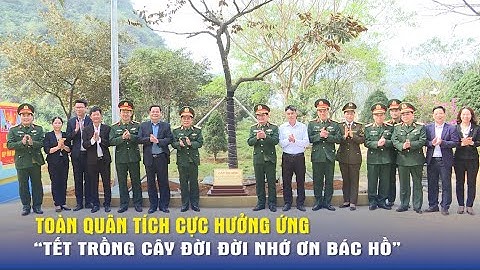 Toàn quân tích cực hưởng ứng “Tết trồng cây đời đời nhớ ơn Bác Hồ”- Báo QĐND