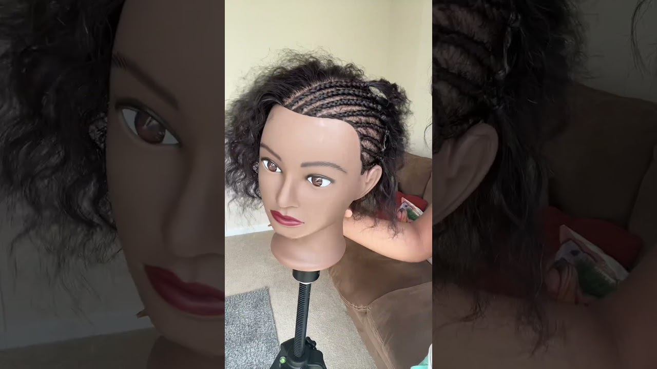 Jayda Wayda Inspired Braids