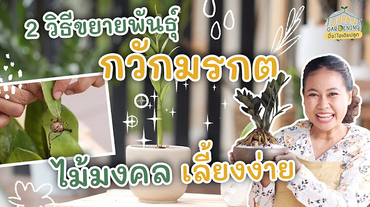 การเพาะปล ปต นไม ม ว ธ อะไรบ าง