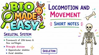 Quick Recap | SKELETAL SYSTEM | NEET BIOLOGY #locomotionandmovement #neetbiology #neetaspirents
