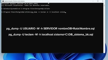 Backup de base de datos en postgreSQL por comandos en CMD en Windows 11