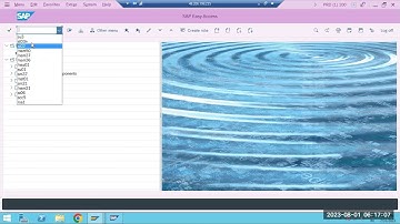 SAP - ST02,ST03N,ST04,& DBACOCKPIT