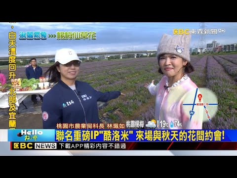 淑麗趴趴GO 紫色浪漫襲捲楊梅 桃園仙草嘉年華周六登場 Newsebc
