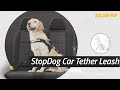 Stopdog mobility control car tether leash