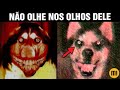 NÃO OLHE NOS OLHOS DELE! O Assustador Smile DOG da Deep Web