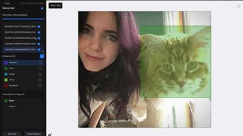 Train a Custom YOLO-v4 Object Detection Model in RunwayML