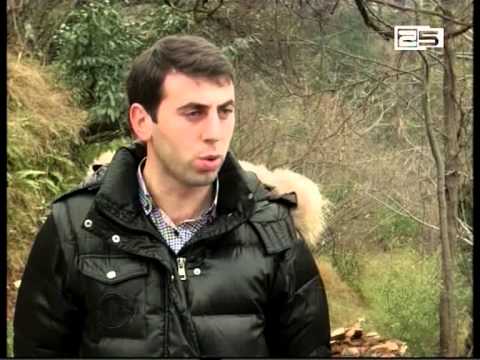 ერთიანი ნაციონალური მოძრაობა ხელვაჩაურის გამგებელს მოსახლეობის მოტყუებაში ადანაშაულებს